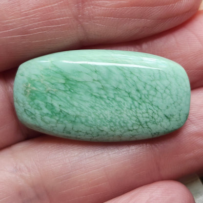 Variscite Cabochon #237 | Utah | Cushion Cut