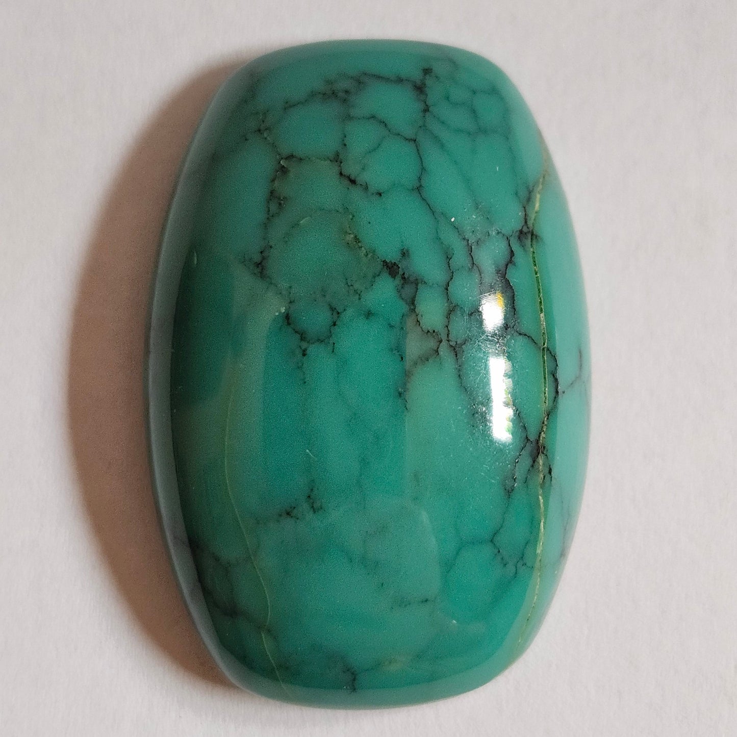 Turquoise #275 | Tyrone | Burro Mountains | Cushion Cut Cabochon