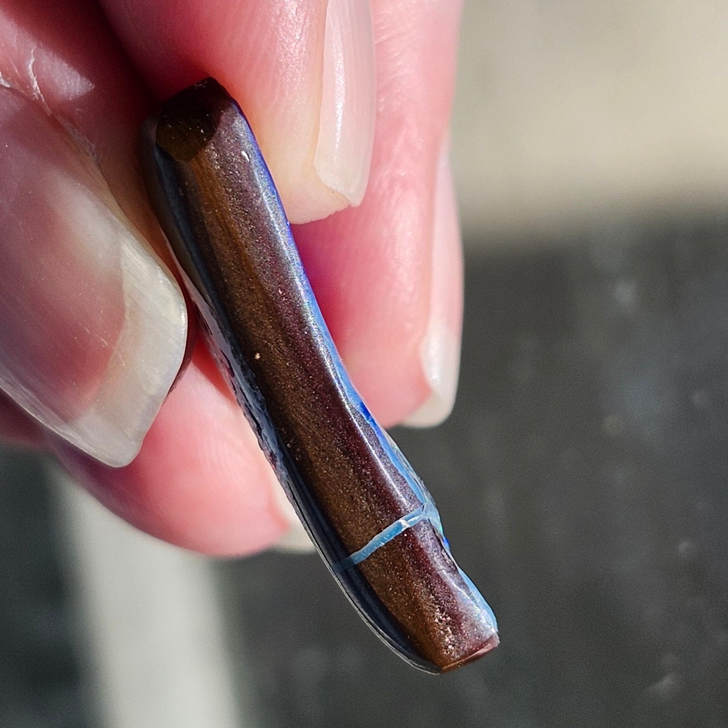 19.12ct Quilpie Black Boulder Opal | #E231