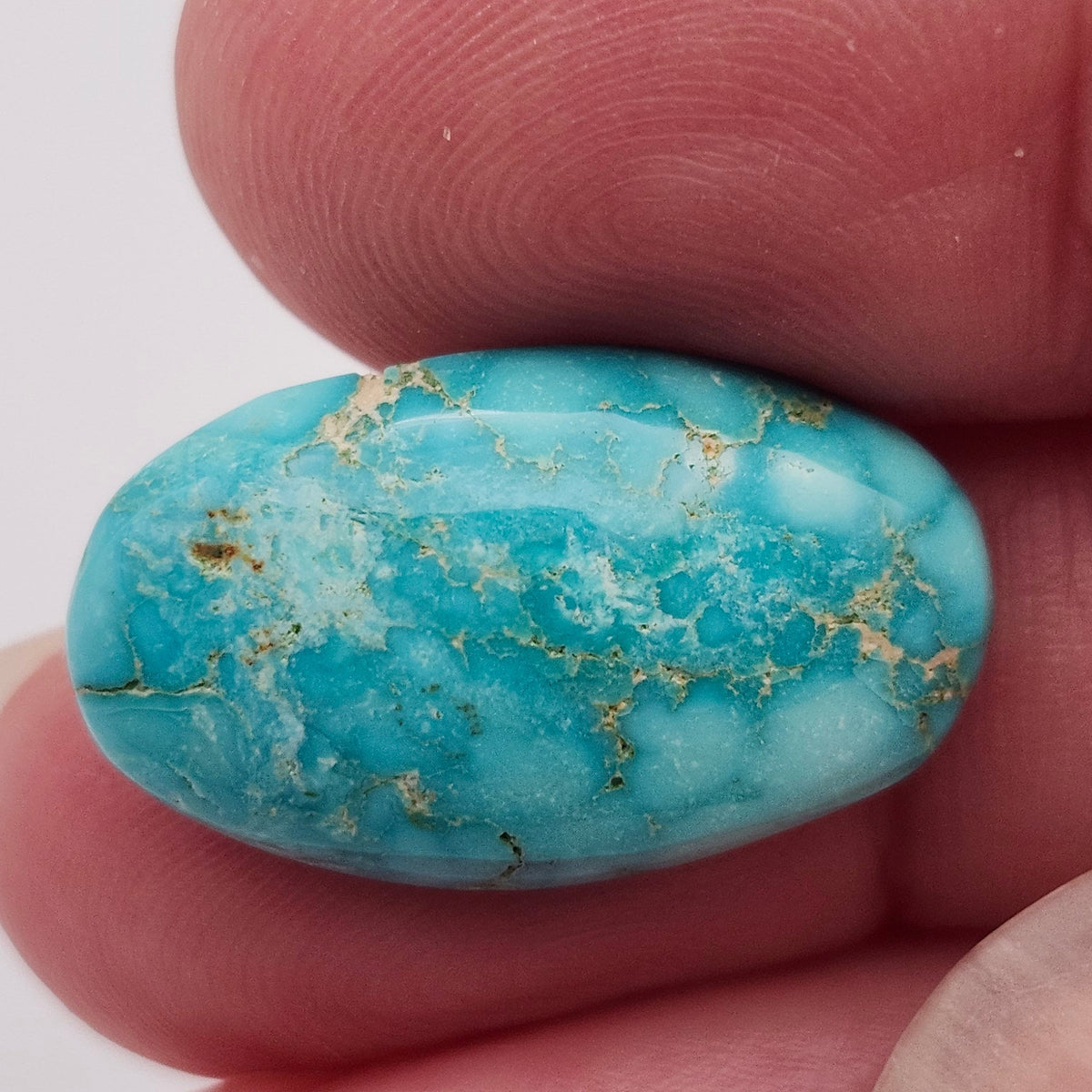 10.93ct Pilot Mountain Turquoise | Oval Cabochon | #525