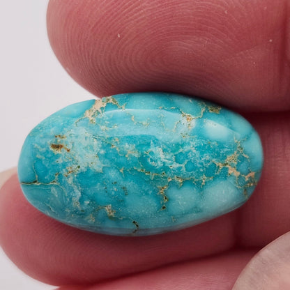 10.93ct Pilot Mountain Turquoise | Oval Cabochon | #525