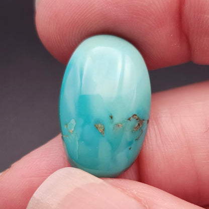 11.66ct Pilot Mountain Turquoise | Oval Cabochon | #522