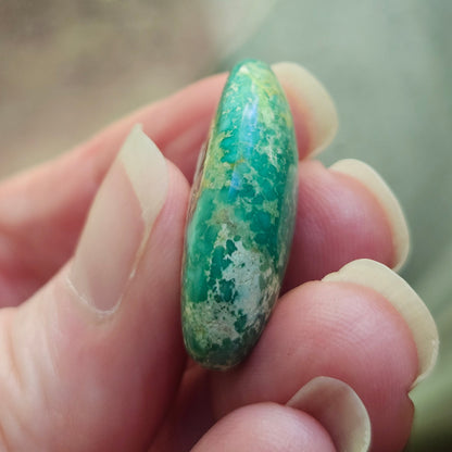 Turquoise #118 | Royston
