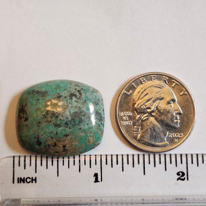 Turquoise #258 | Monte Cristo | Pilot Mountain | Cushion Cut Cabochon