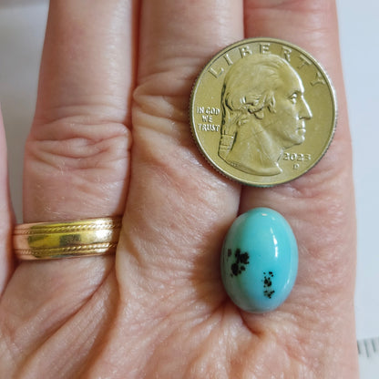 Turquoise #309 | Kingman