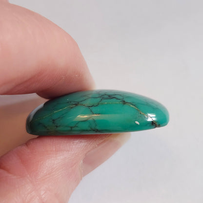 Turquoise #275 | Tyrone | Burro Mountains | Cushion Cut Cabochon