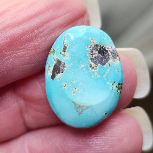 Turquoise #304 | Kingman | Oval Cabochon Cut | Preformed