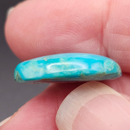 12.96ct Pilot Mountain Turquoise | Oval Cabochon | #521