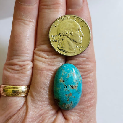 Turquoise #306 | Kingman