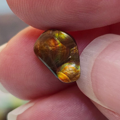 2.87ct Loose Fire Agate | Freeform Cabochon
