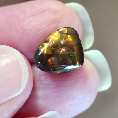4.36ct Loose Fire Agate | Freeform Cabochon