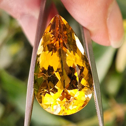 14.09ct Golden Beryl | Pear Shape Cut