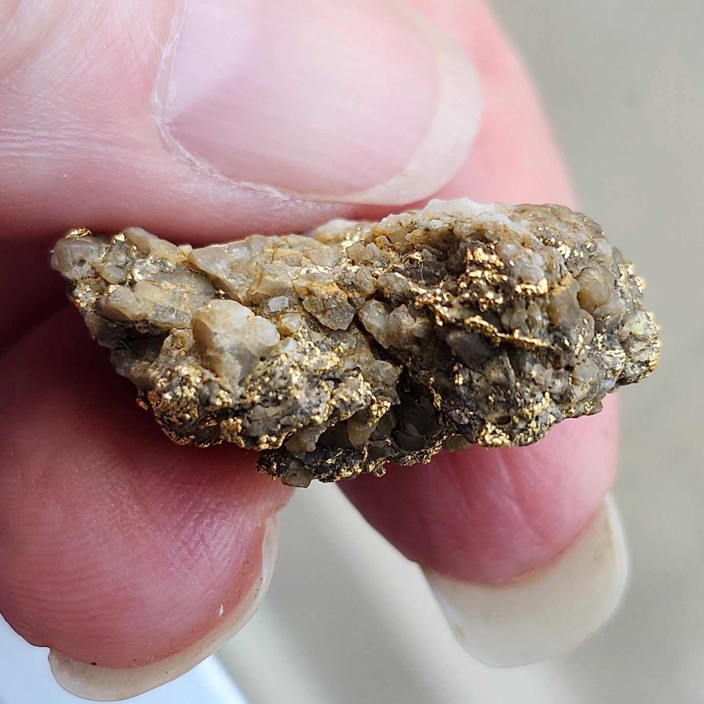 "Medius" | California Gold Nugget Specimen in Quartz | 12.52 grams