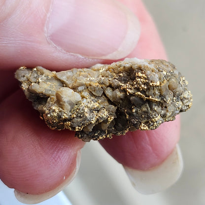 "Medius" | California Gold Nugget Specimen in Quartz | 12.52 grams