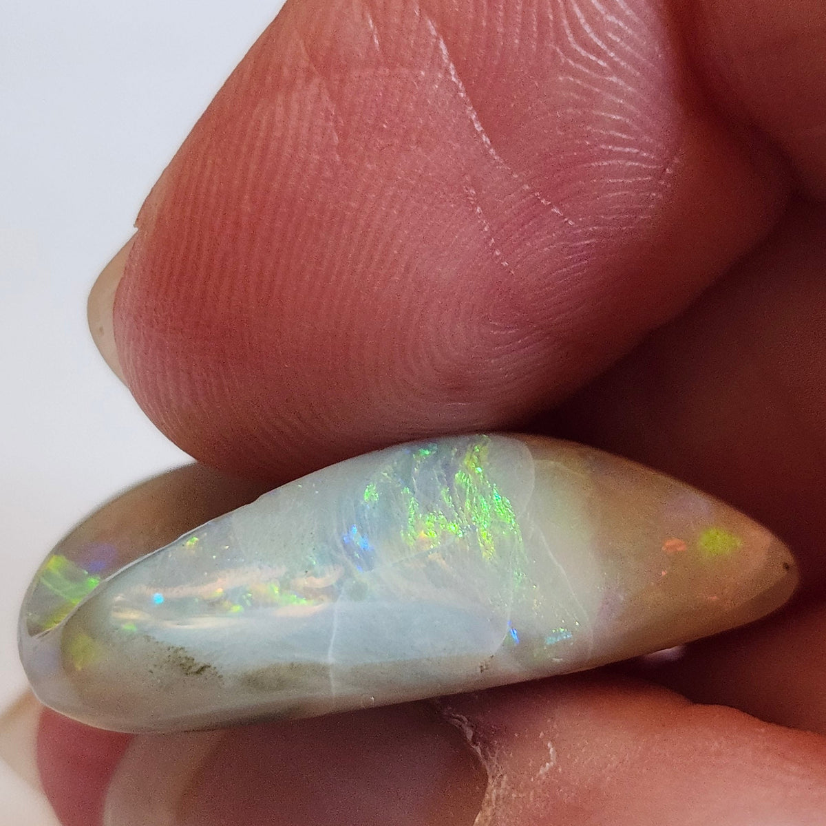 14.44ct Lightning Ridge Semi-Black Australian Opalized Fossil Shell | Freeform Pear | #E289