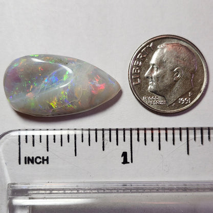 14.44ct Lightning Ridge Semi-Black Australian Opalized Fossil Shell | Freeform Pear | #E289