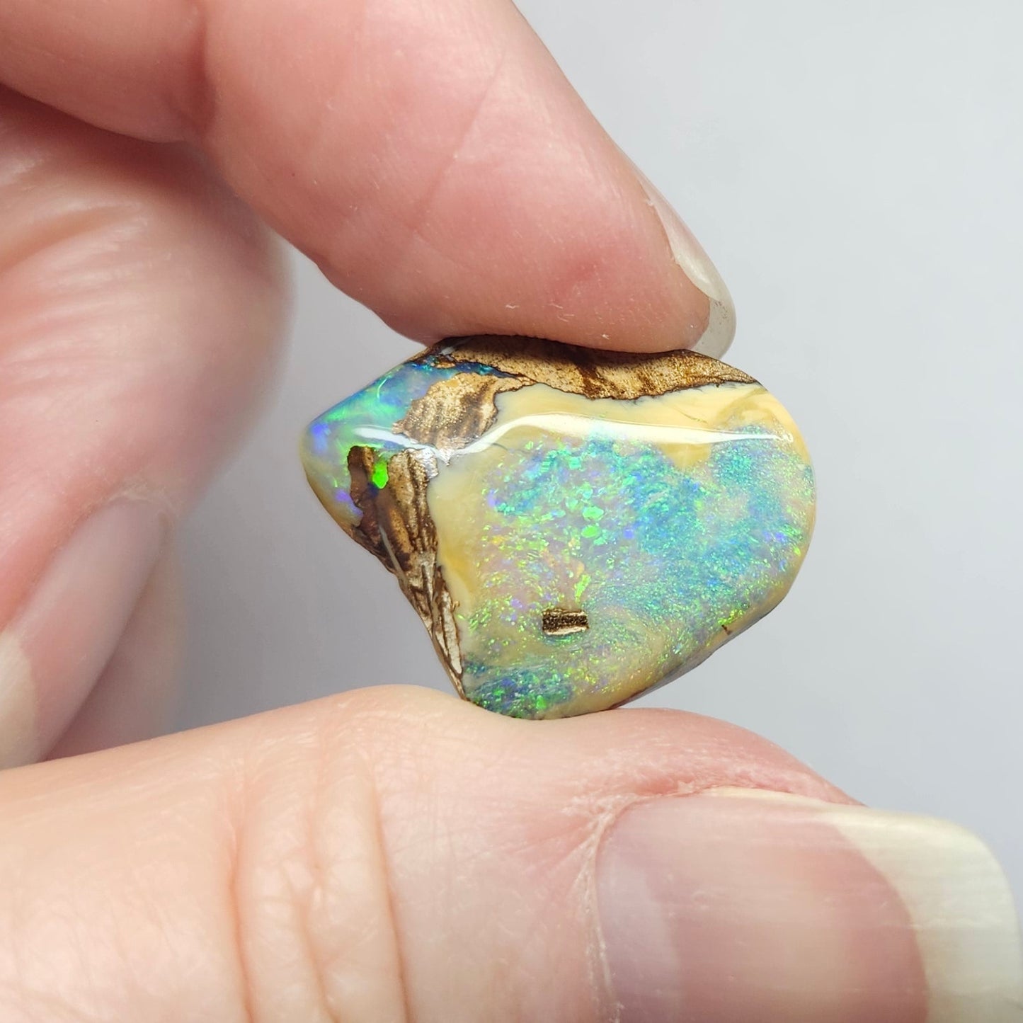 9.24ct Koroit Boulder Matrix Opal | #E261