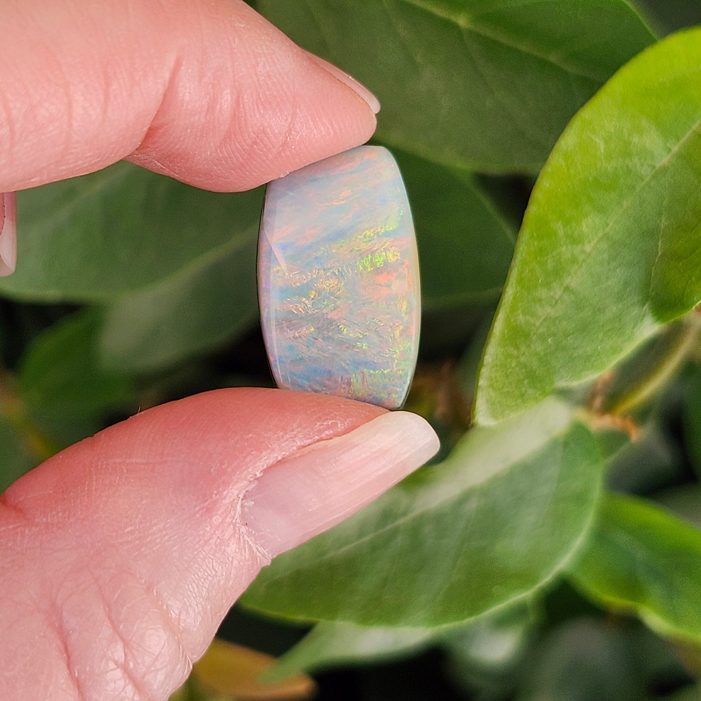 11.41ct Quilpie Boulder Opal | #E247