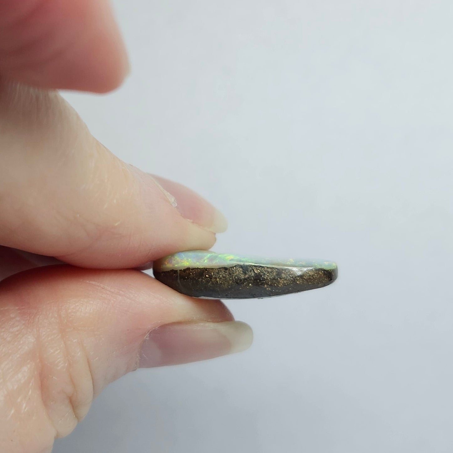 15.51ct Quilpie Boulder Opal | #E250