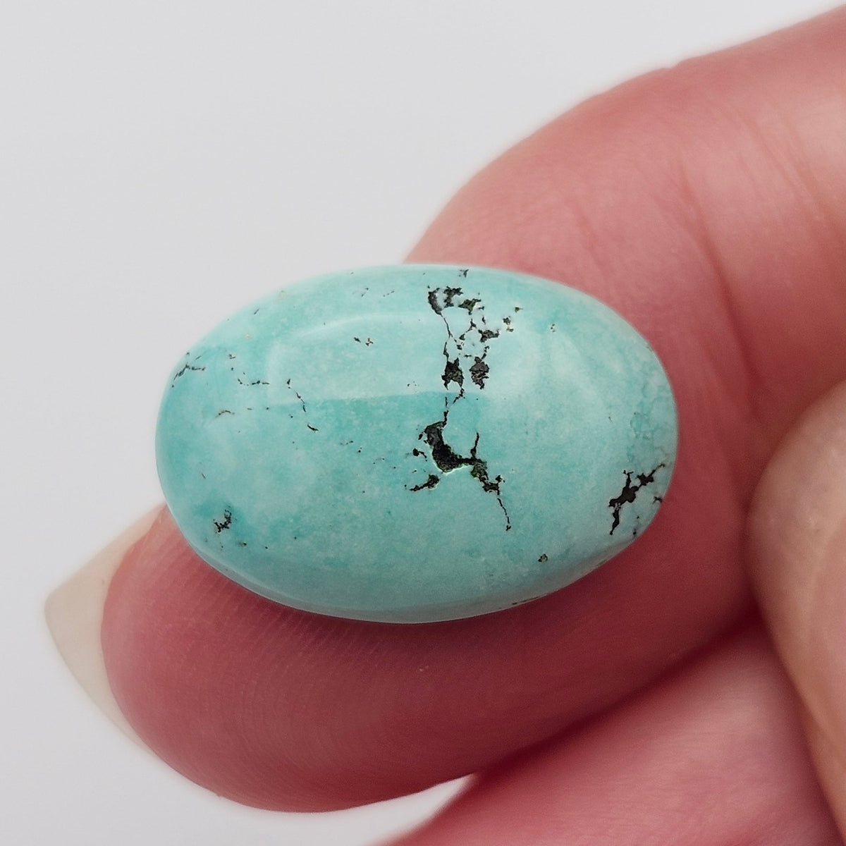 5.70ct Pilot Mountain Turquoise | Oval Cabochon | #527