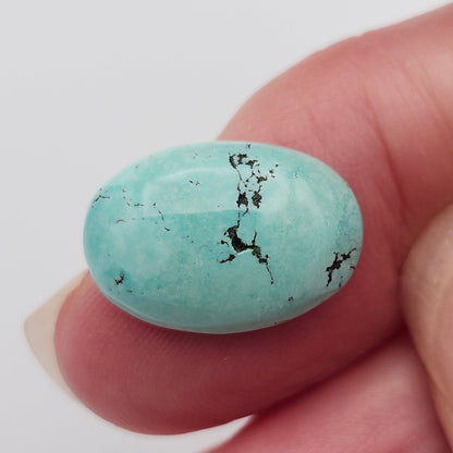 5.70ct Pilot Mountain Turquoise | Oval Cabochon | #527