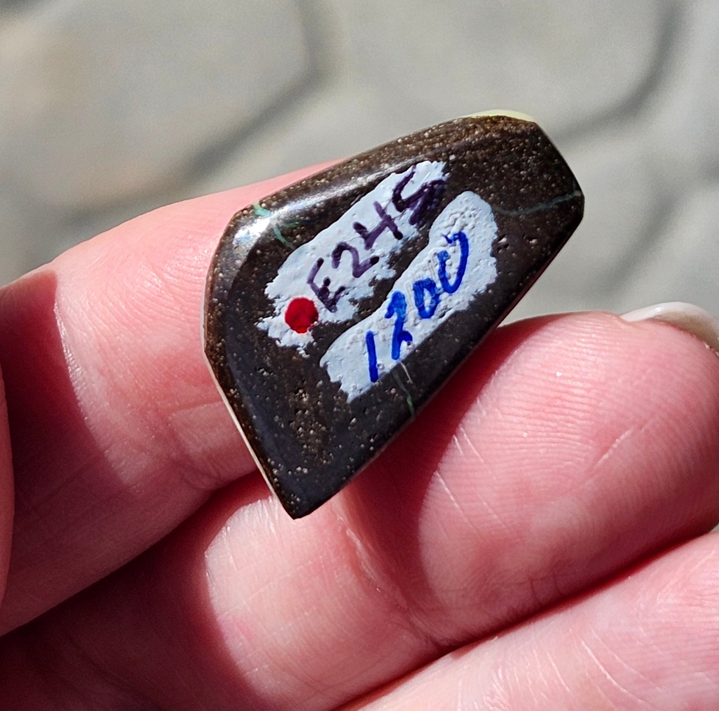 14.55ct Quilpie Boulder Opal | #E245