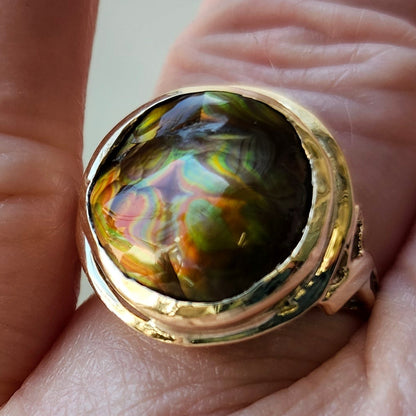 Ladies' Freeform Fire Agate Ring | 14kt