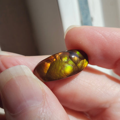 11.34ct Loose Fire Agate | Freeform Oval Cabochon