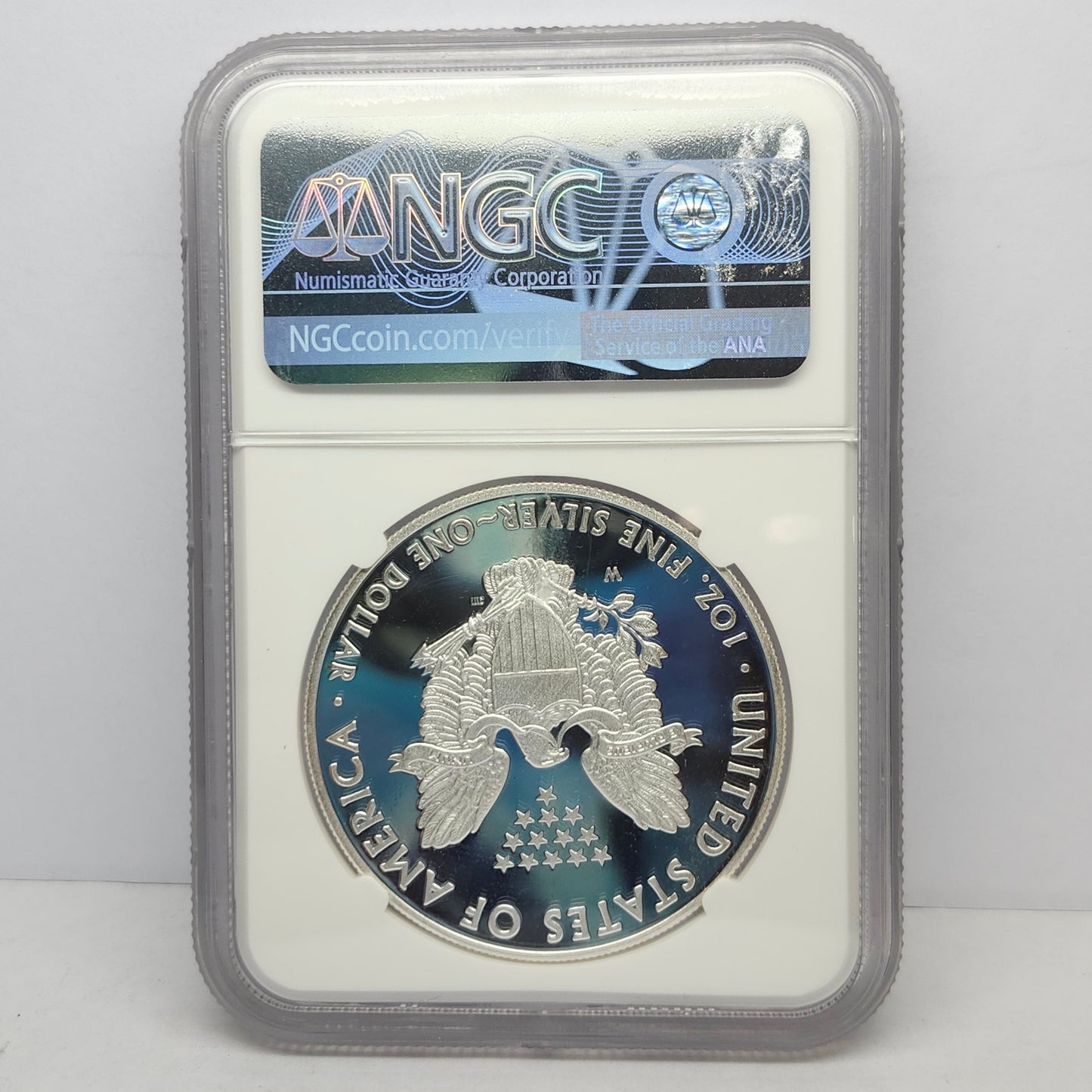2015-W $1 Silver Eagle Collectible Coin | Fine Silver | #14