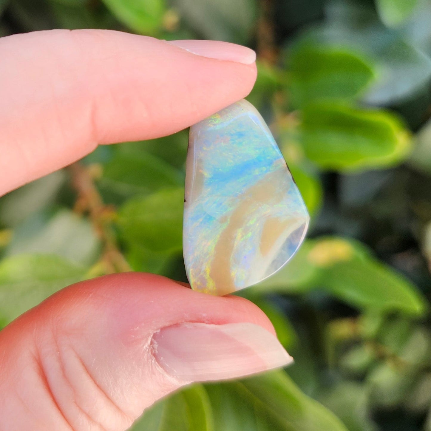 14.55ct Quilpie Boulder Opal | #E245