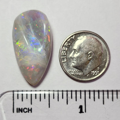 14.44ct Lightning Ridge Semi-Black Australian Opalized Fossil Shell | Freeform Pear | #E289