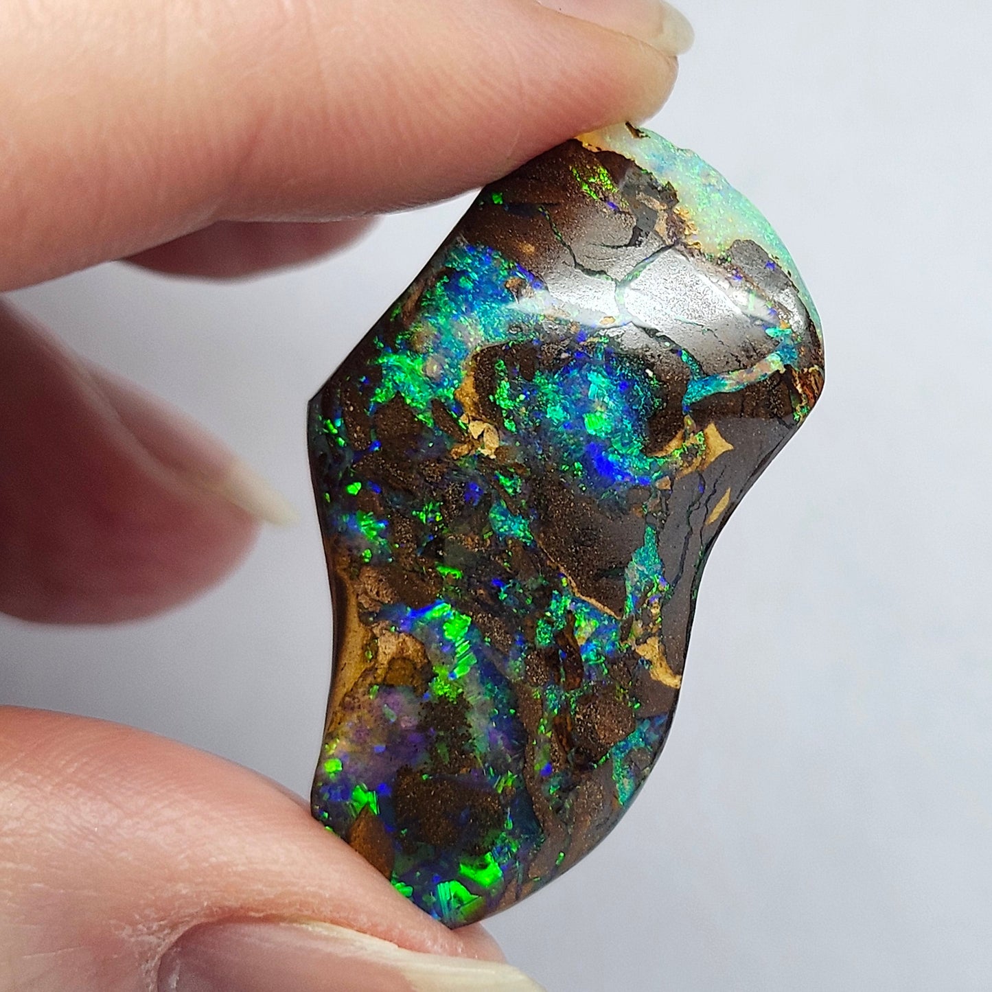 20.60ct Koroit Boulder Matrix Opal | #E264
