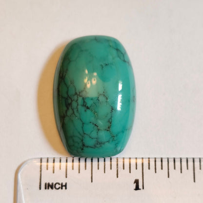 Turquoise #275 | Tyrone | Burro Mountains | Cushion Cut Cabochon