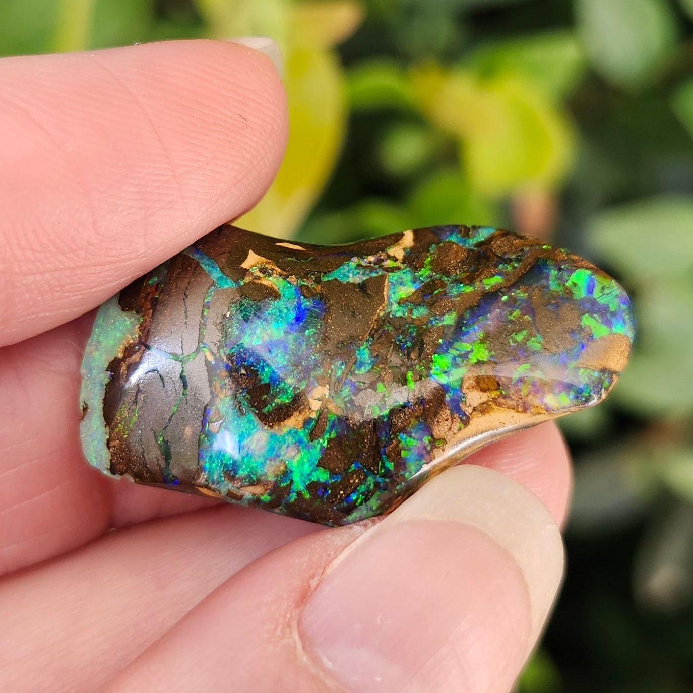 20.60ct Koroit Boulder Matrix Opal | #E264