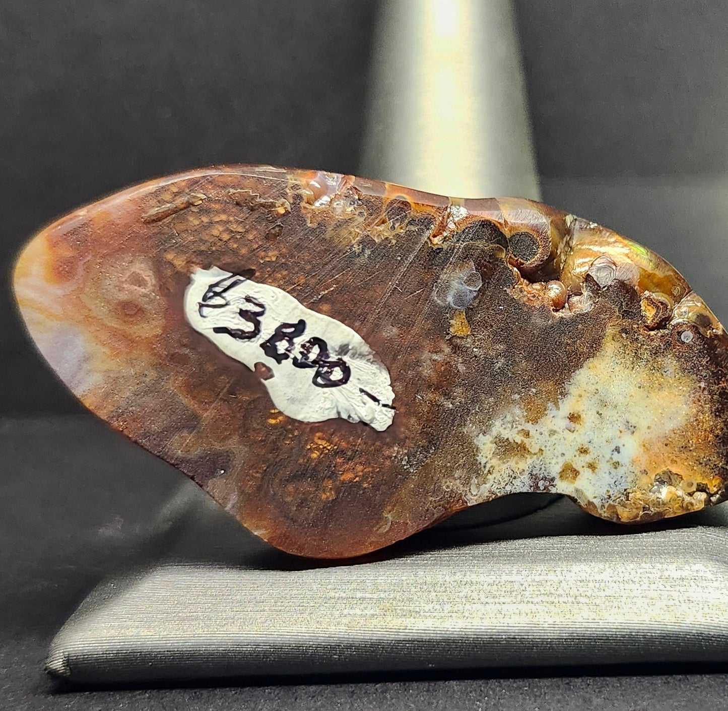 97.57ct Loose Mexican Fire Agate | Freeform Cabochon | #7