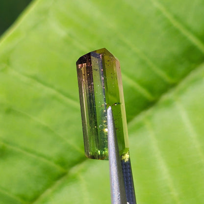 6.53ct Tri-Color Brazilian Tourmaline | Faceted Emerald Cut