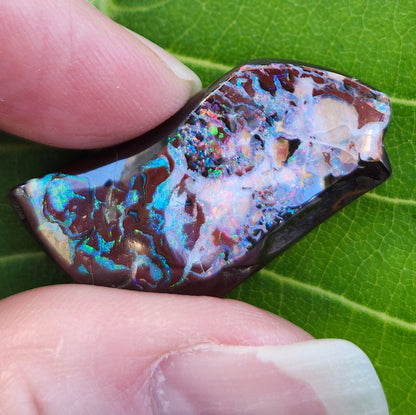 30.85ct Koroit Australian Boulder Opal | #E275