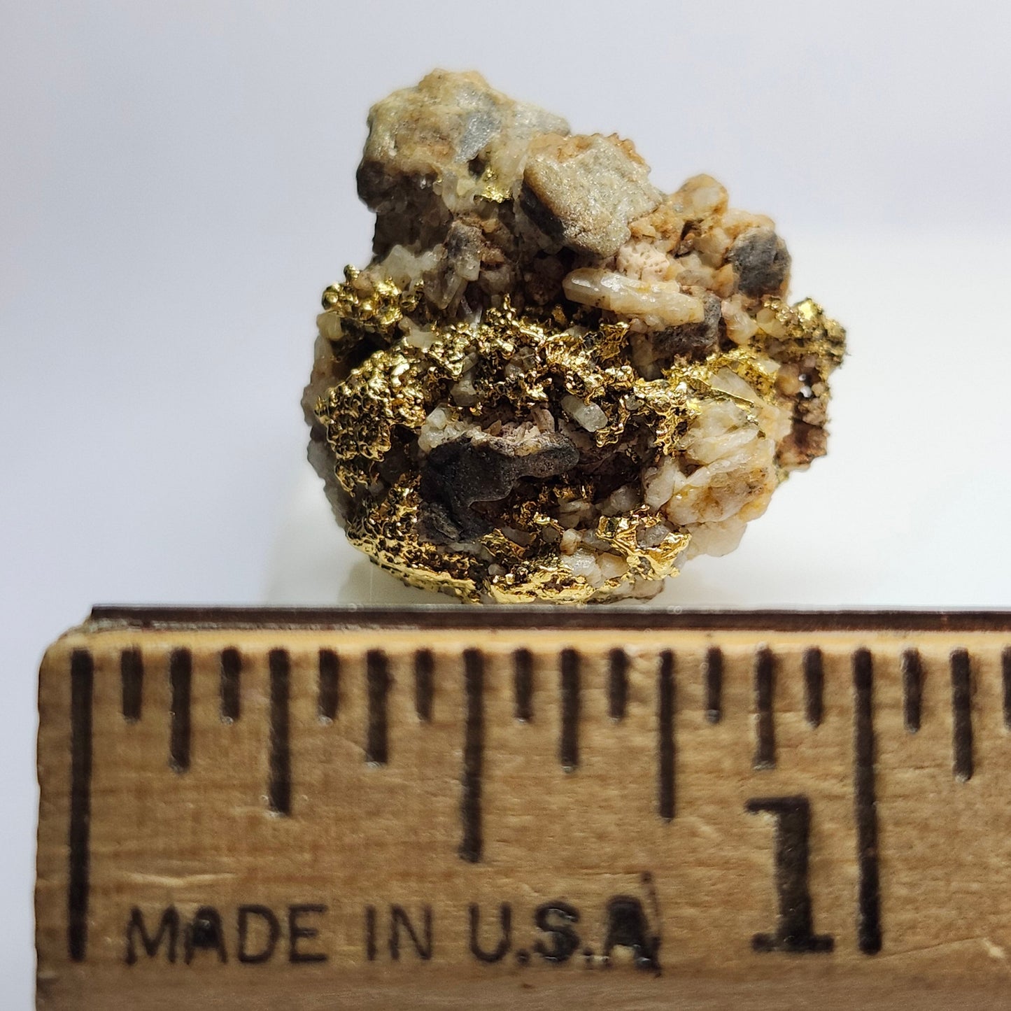 "Quarzum" | California Gold Nugget Specimen on Quartz | 11.60 grams