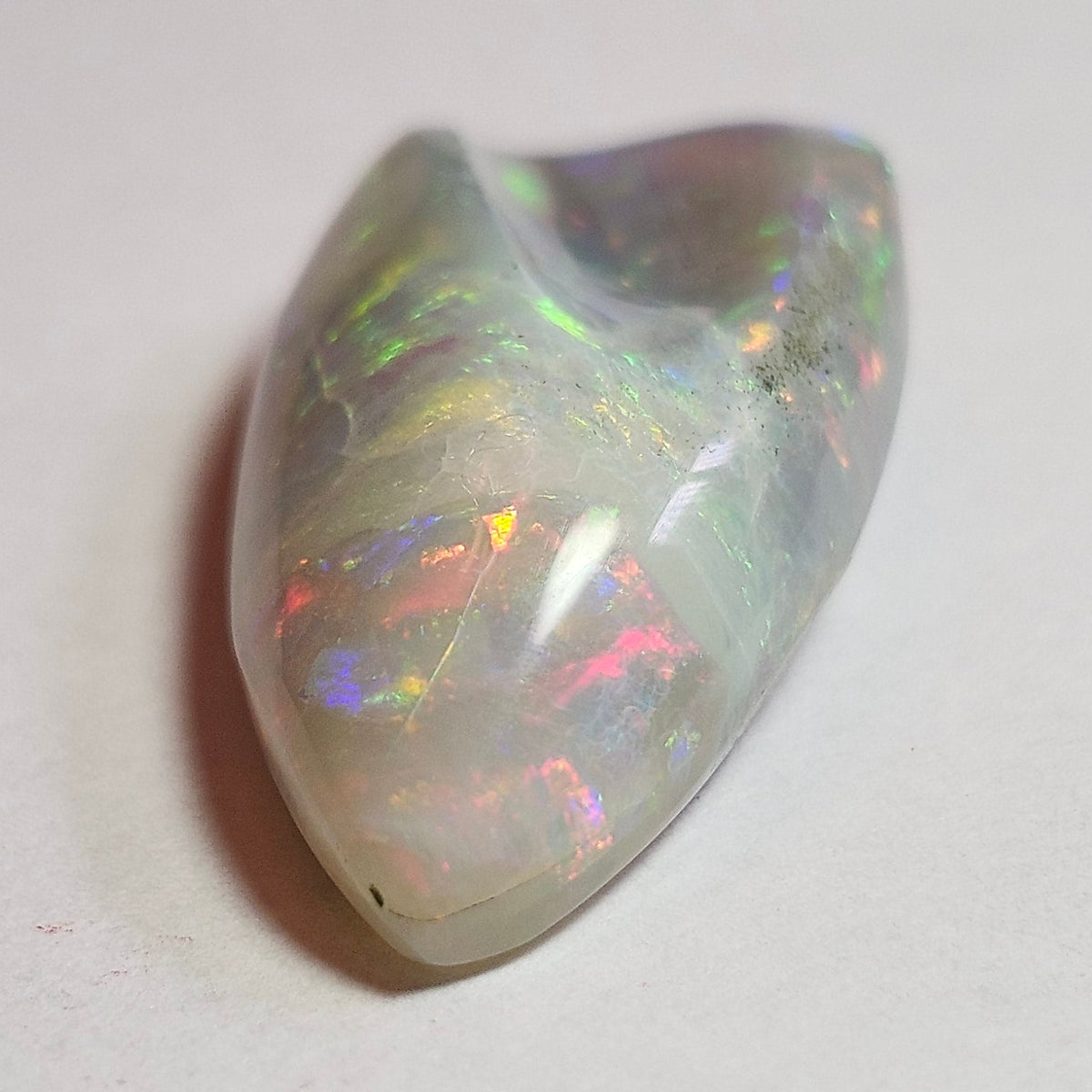 14.44ct Lightning Ridge Semi-Black Australian Opalized Fossil Shell | Freeform Pear | #E289