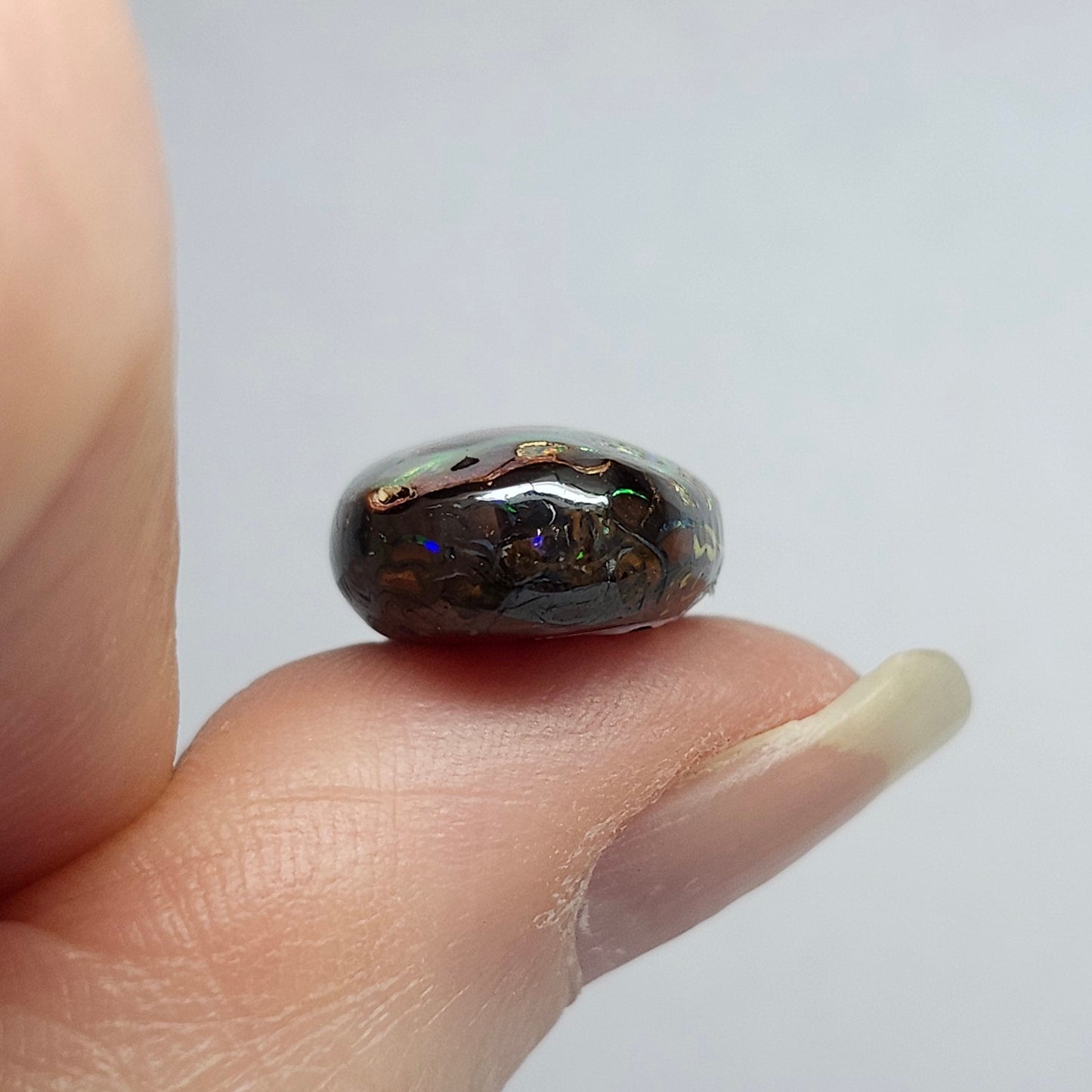 13.90ct Koroit Boulder Matrix Opal | #E262