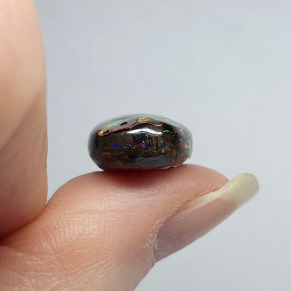 13.90ct Koroit Boulder Matrix Opal | #E262