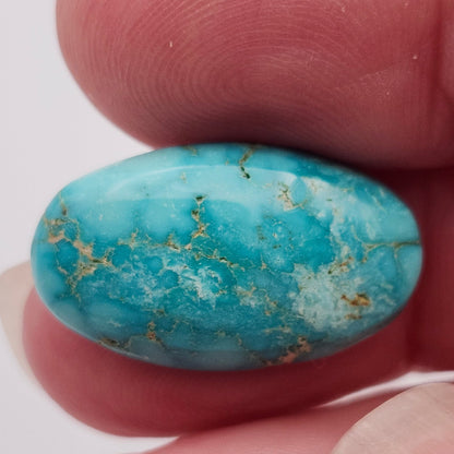 10.93ct Pilot Mountain Turquoise | Oval Cabochon | #525