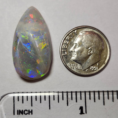 14.44ct Lightning Ridge Semi-Black Australian Opalized Fossil Shell | Freeform Pear | #E289