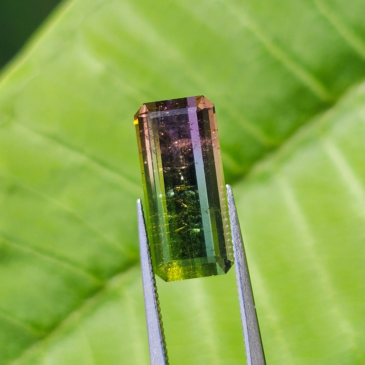 6.53ct Tri-Color Brazilian Tourmaline | Faceted Emerald Cut