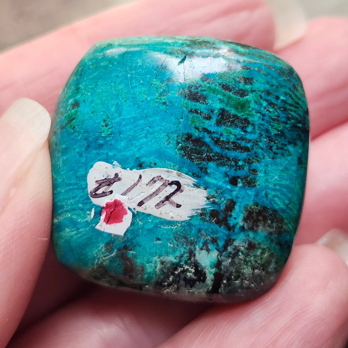 Eilat Stone Cabochon #172 | Morenci