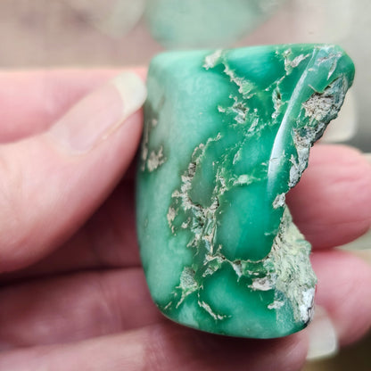 Utah Variscite #40 | Preformed Specimen