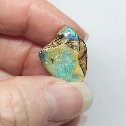 9.24ct Koroit Boulder Matrix Opal | #E261