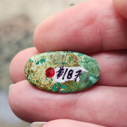 Turquoise #187 | Royston | Oval Cabochon Cut