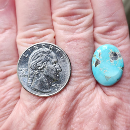 Turquoise #304 | Kingman | Oval Cabochon Cut | Preformed