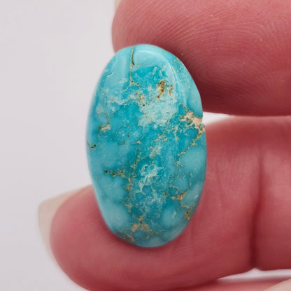 10.93ct Pilot Mountain Turquoise | Oval Cabochon | #525
